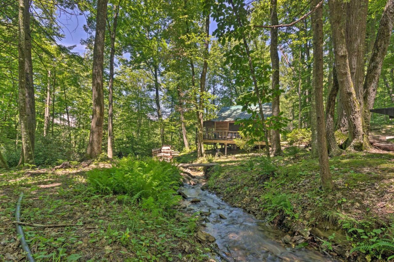 Creekside Cabin With Deck In Pisgah Forest! Barnardsville 外观 照片