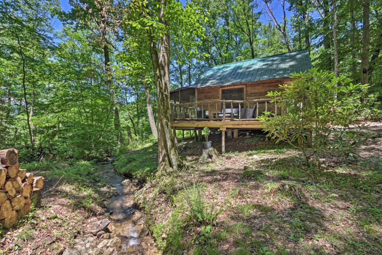 Creekside Cabin With Deck In Pisgah Forest! Barnardsville 外观 照片