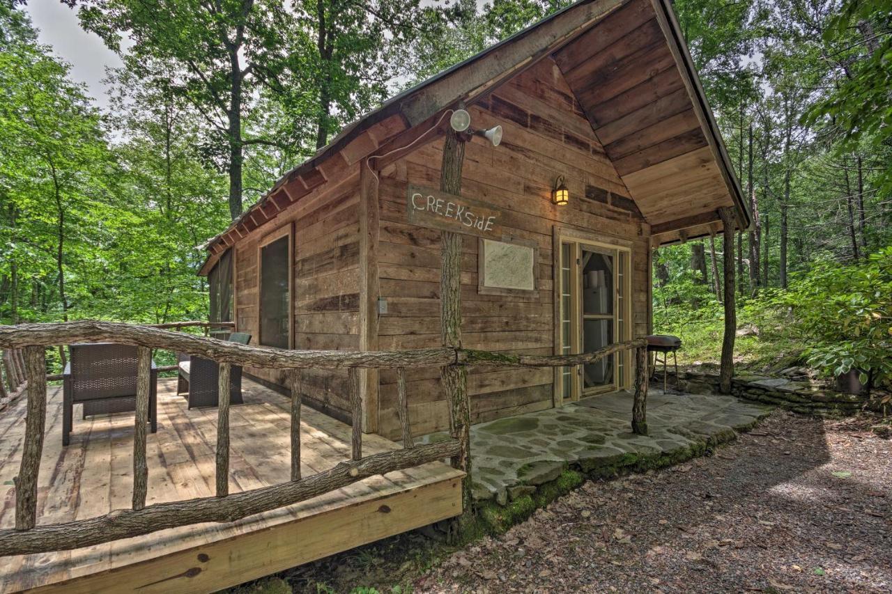Creekside Cabin With Deck In Pisgah Forest! Barnardsville 外观 照片