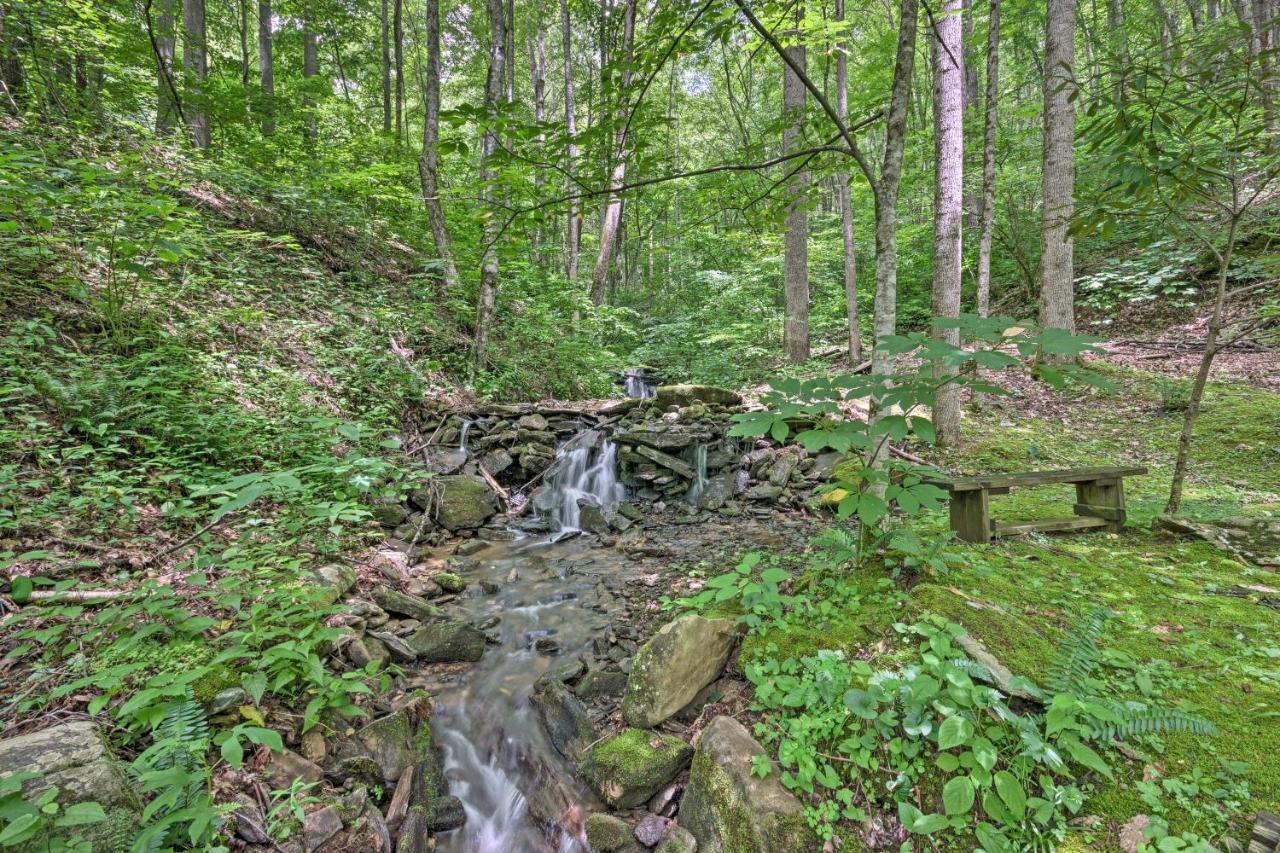 Creekside Cabin With Deck In Pisgah Forest! Barnardsville 外观 照片